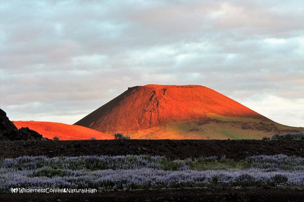 Midnight sunset on Helgafell, Heimaey, Vestmannaeyjar, Iceland.