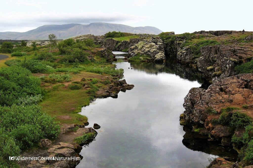 Þingvellir continental rift, Golden Circle, Iceland.