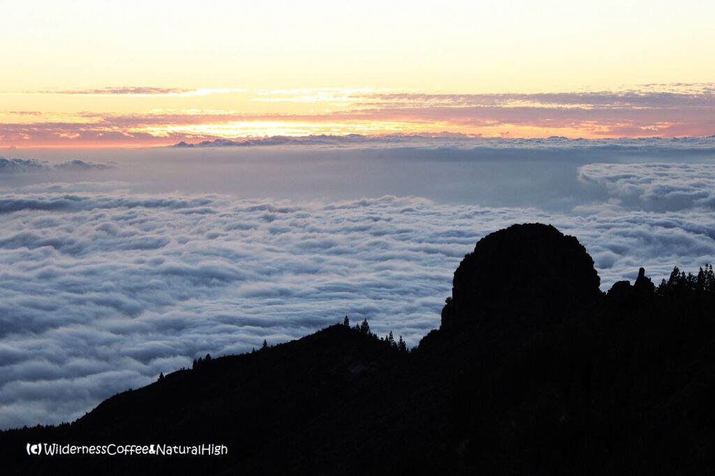 Sea of clouds below Pico del Teide Sea of clouds below Pico del Teide. Tenerife, Canary Islands.