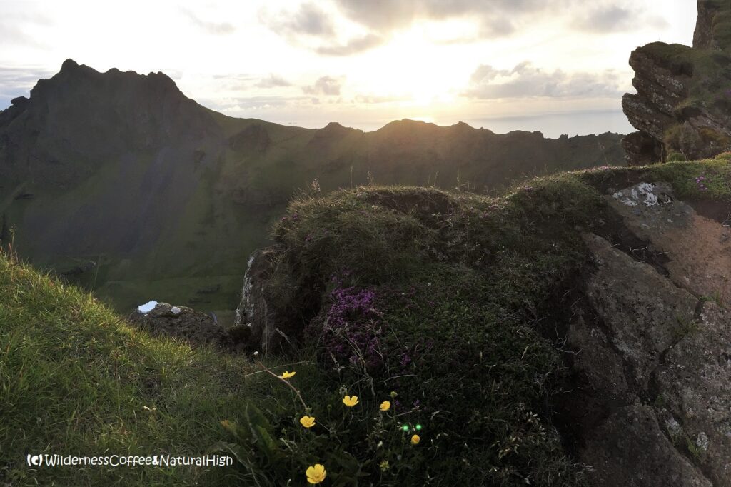 View above Herjólfsdalur, Heimaey, Vestmannaeyjar, Iceland.