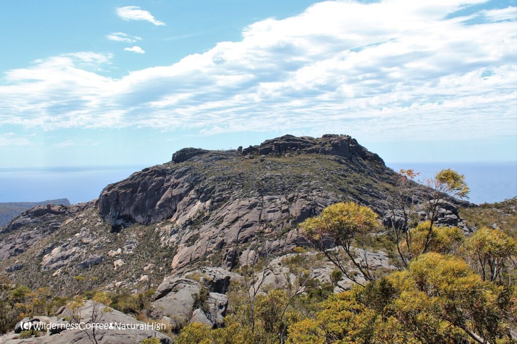The top of Mount Amos The top of Mount Amos, Tasmania, Australia.