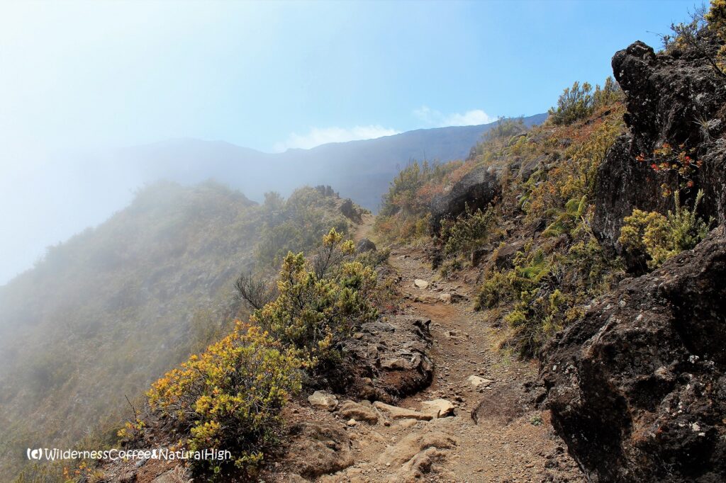 The walking track at Halemau’u The walking track at Halemau’u, Mount Haleakala, Maui, Hawaii.