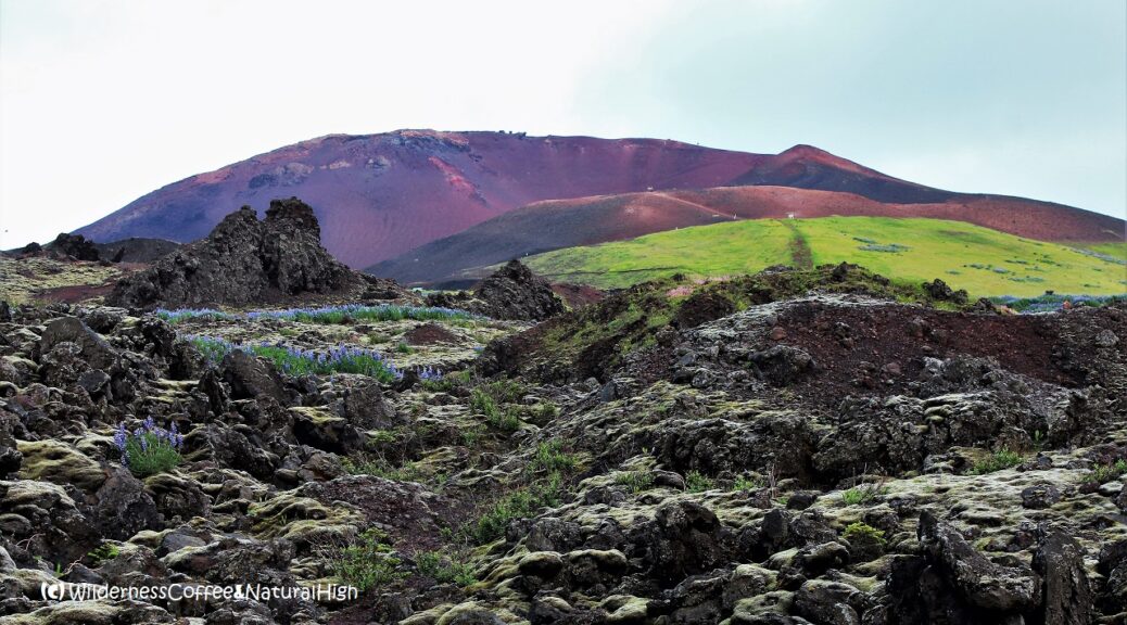 Eldfell volcano and lava fields, Heimaey, Vestmannaeyjar, Iceland.