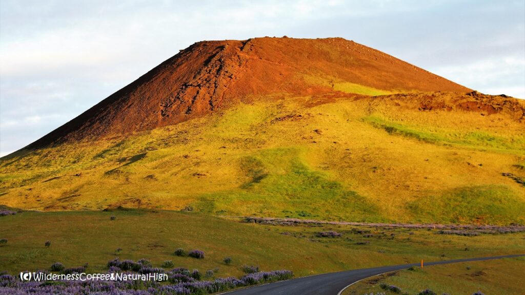 Helgafell volcano, Vestmannaeyjar walking tracks, Iceland.