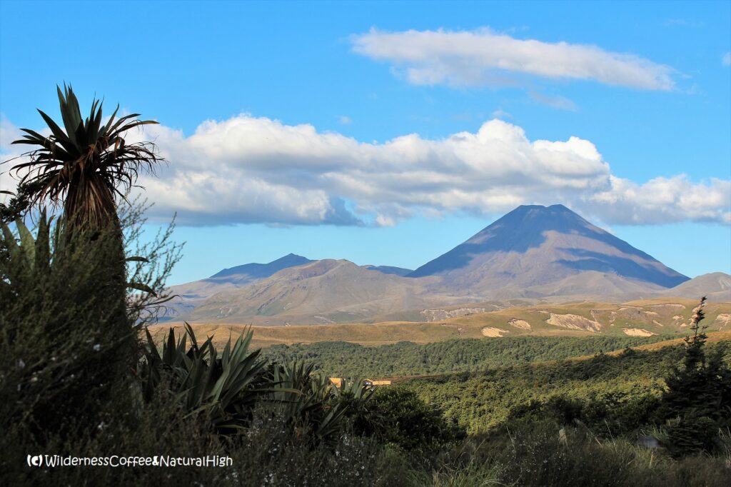 Tongariro and Mount Ngauruhoe, North Island, New Zealand.