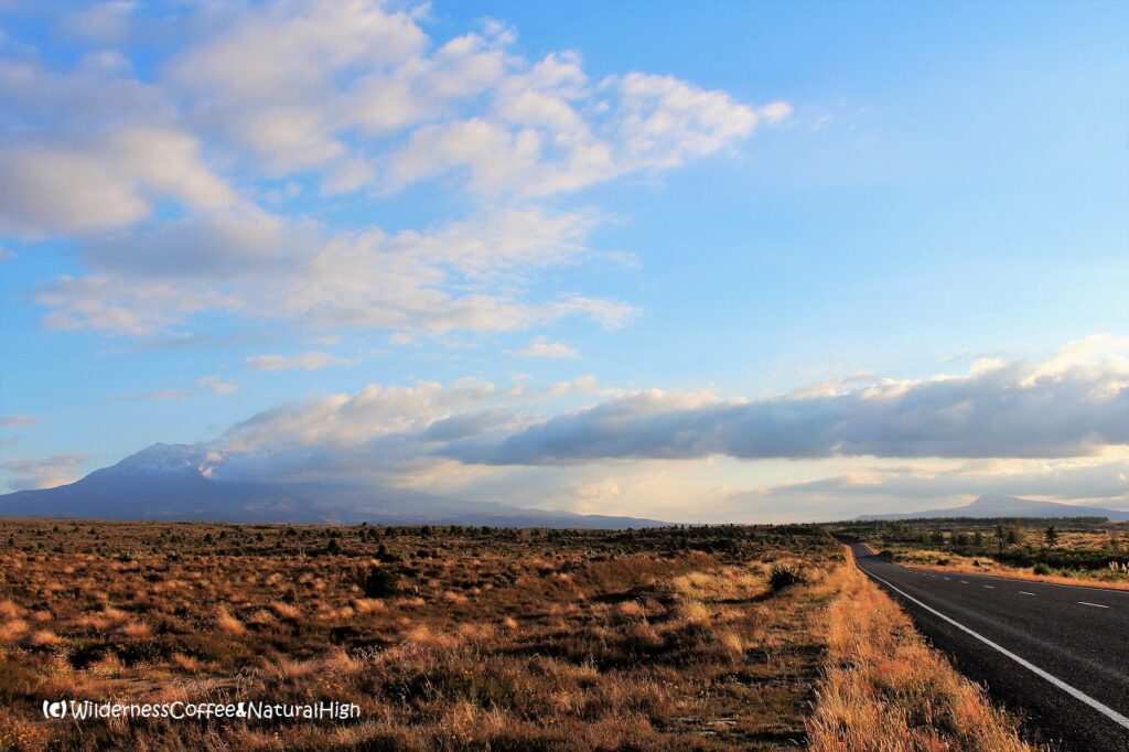 Tongariro from the Desert Road, New Zealand.