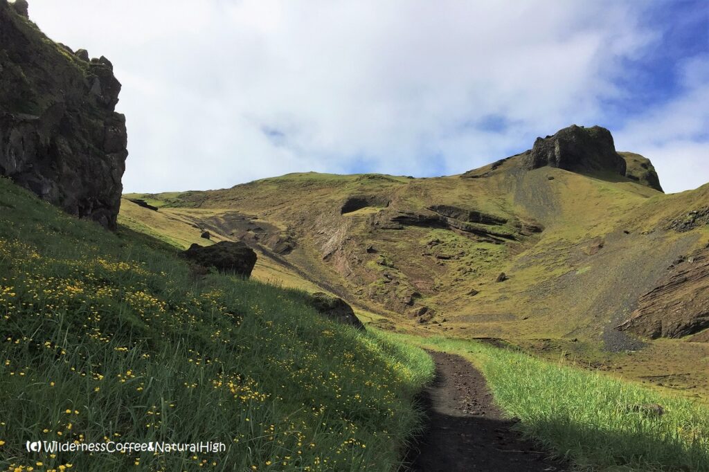 Path towards HáHá, Vestmannaeyjar, Iceland.