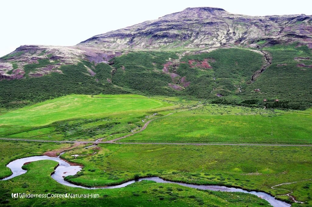 View from behind the Geysir hill, Golden Circle, Iceland.