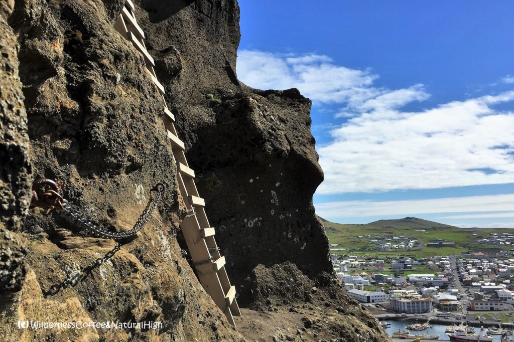 Ladder on the Heimaklettur hike, Heimaey, Iceland.