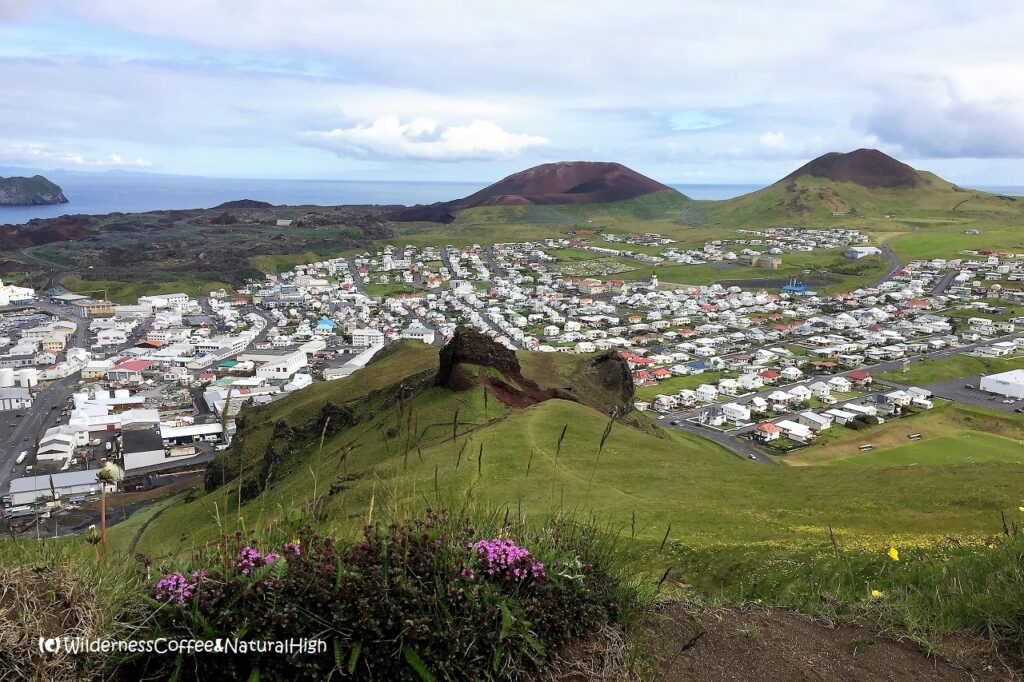 View to Vestmannaeyja town, Heimaey, Iceland.