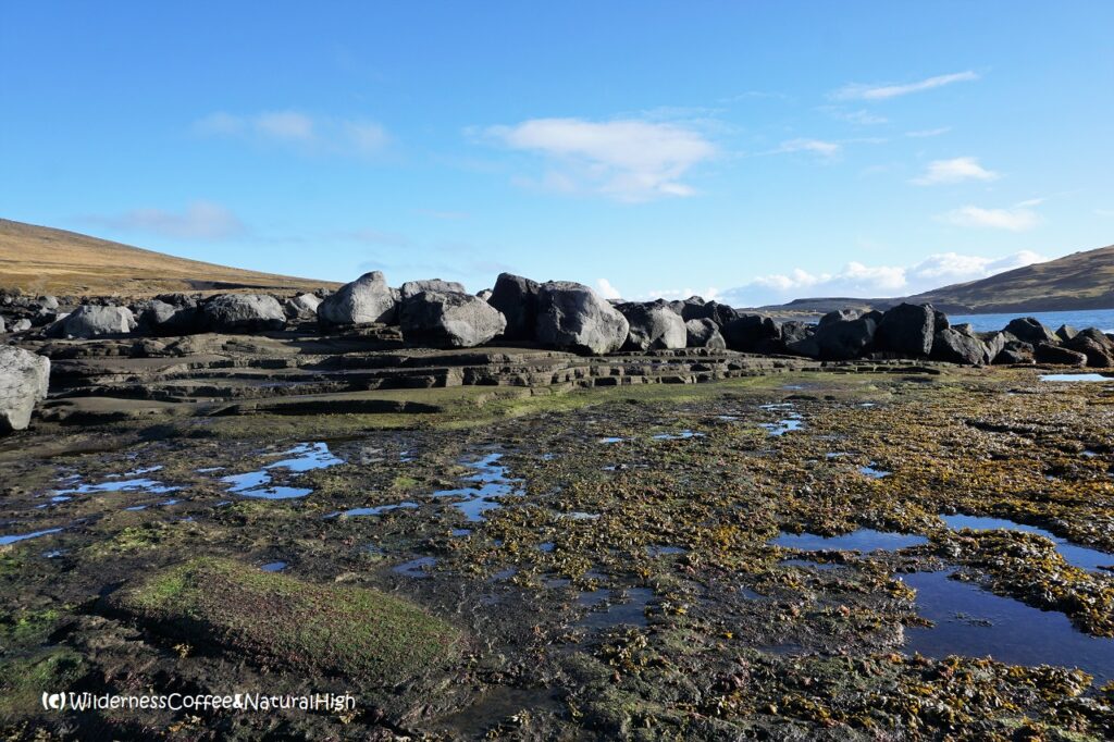 Blue plateau Blue plateau at Klauf geological beach, Heimaey, Vestmannaeyjar, Iceland.