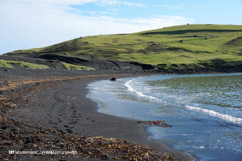 Costa del Klauf Costa del Klauf, Stórhöfði hike, Heimaey, Vestmannaeyjar, Iceland.