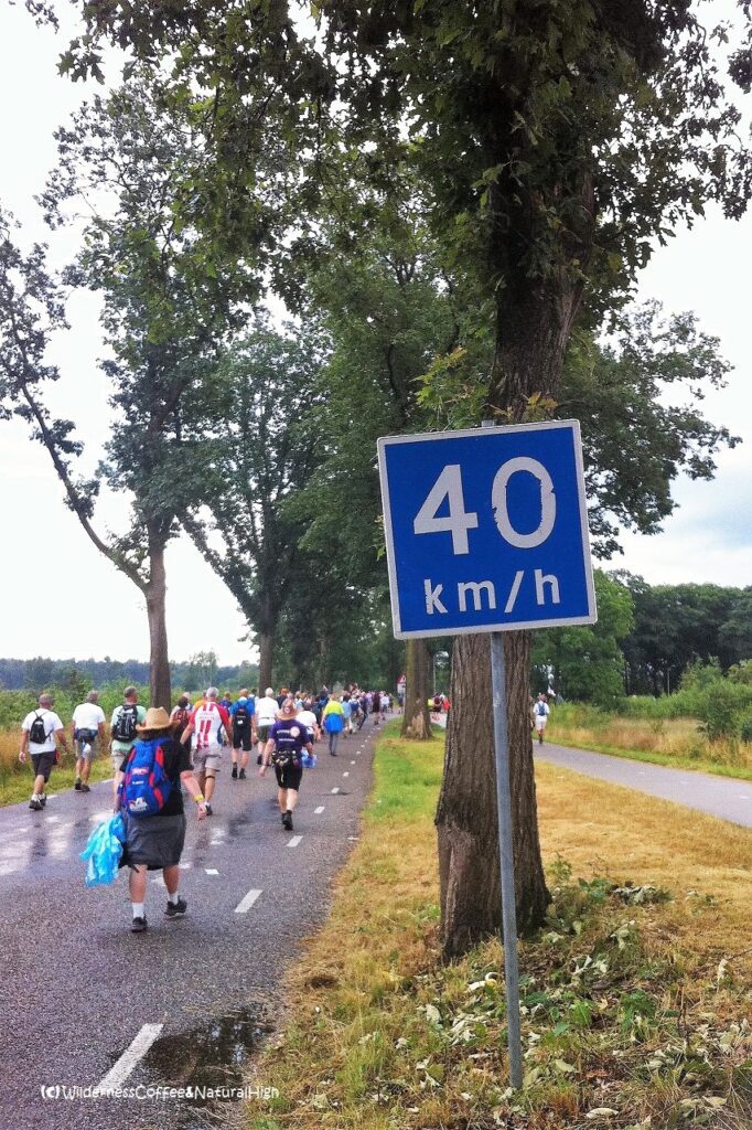 Vierdaagse, Walk of the World, Nijmegen, The Netherlands.