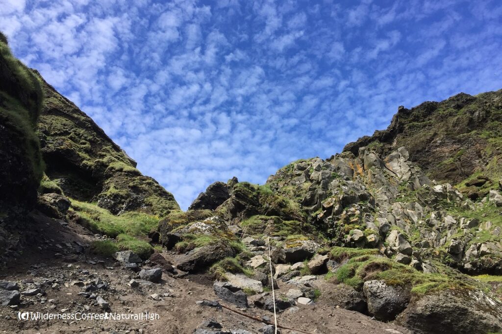 The upper part of Klif Klif hike, ropes, Heimaey, Vestmannaeyjar, Iceland.
