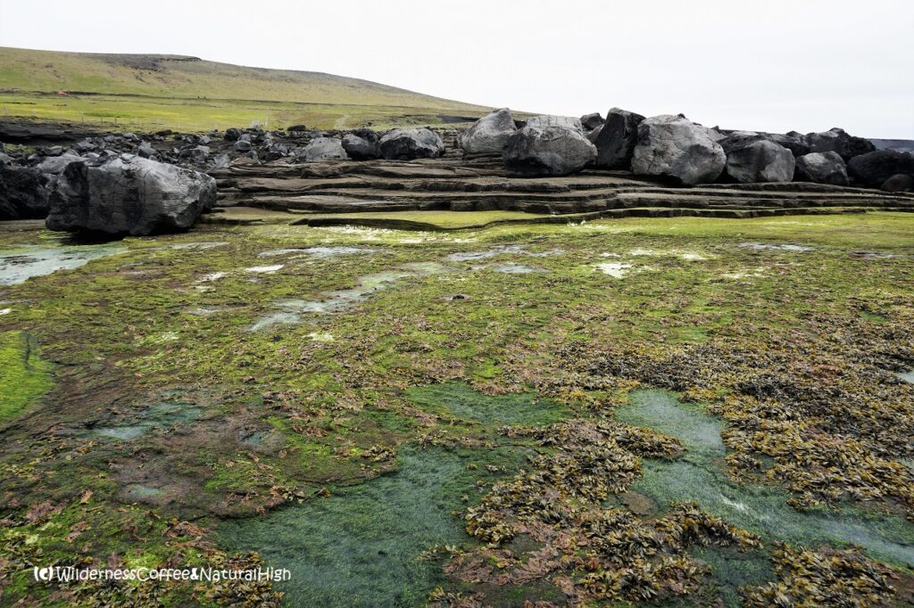 Green plateau Green plateau at Klauf geological beach, Heimaey, Vestmannaeyjar, Iceland.