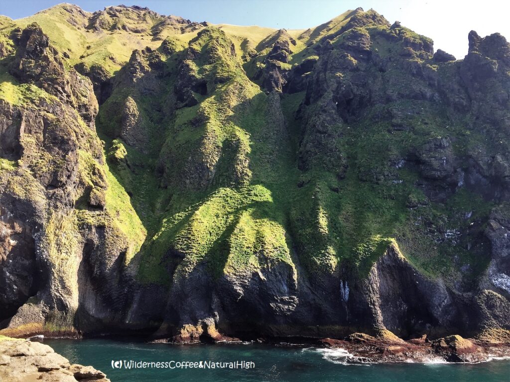 Folded cliffs above Stafsnes, Heimaey, Vestmannaeyjar, Iceland.