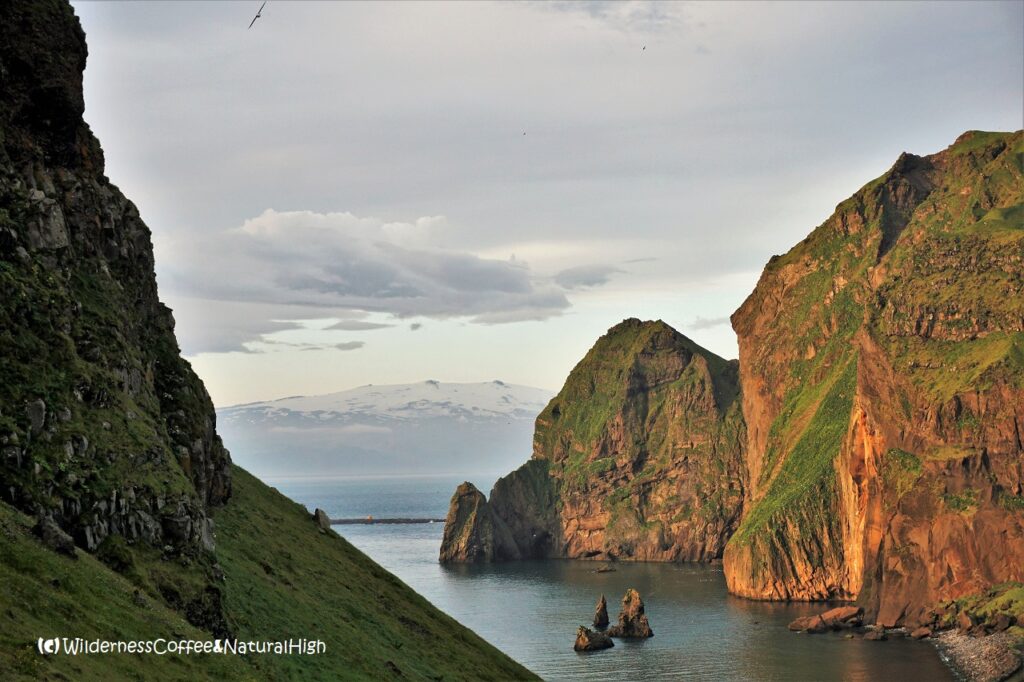 Beautiful views on the way up Klif, Heimaklettur and Eyjafjallajökull, Vestmannaeyjar, Iceland.