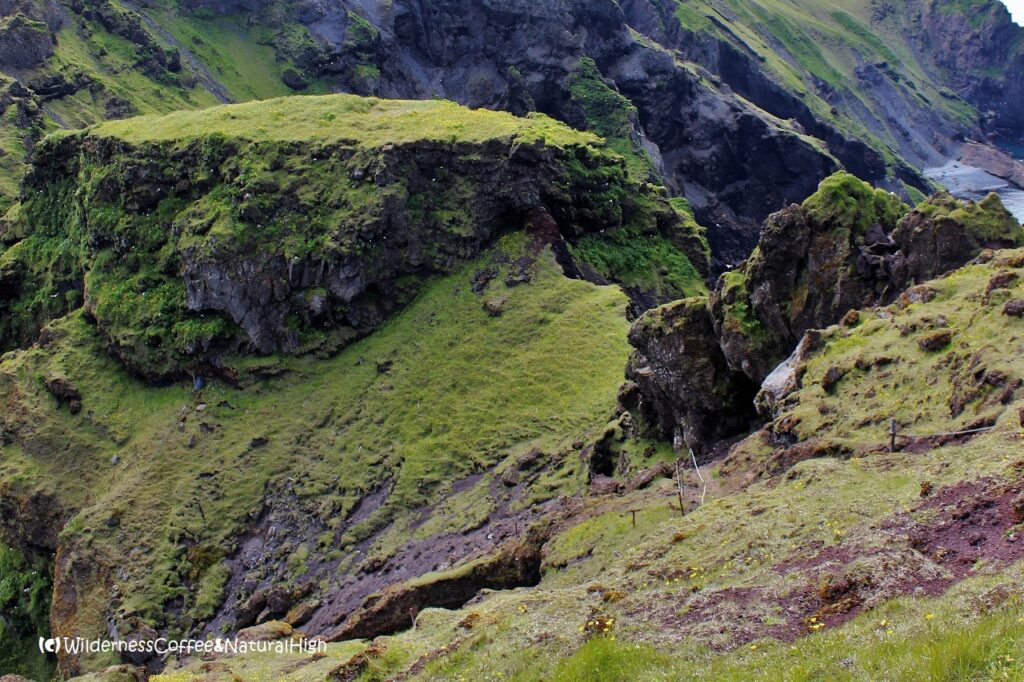 Chains and ropes Klif upper path, Heimaey, Vestmannaeyjar, Iceland.