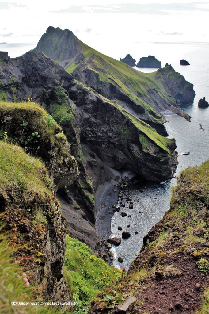 View to hidden beaches Dalfjall, Herjólfsdalur, Heimaey, Vestmannaeyjar, Iceland.