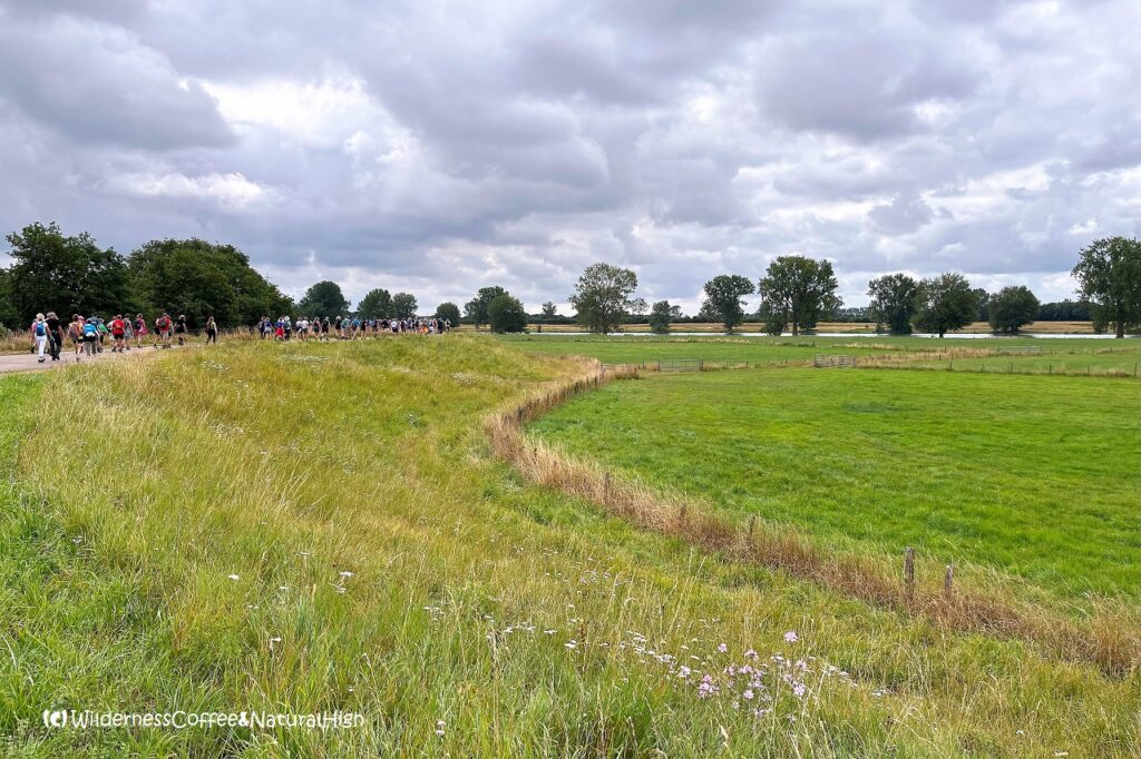 Maas river dike Overasselt, Vierdaagse Nijmegen, The Netherlands.