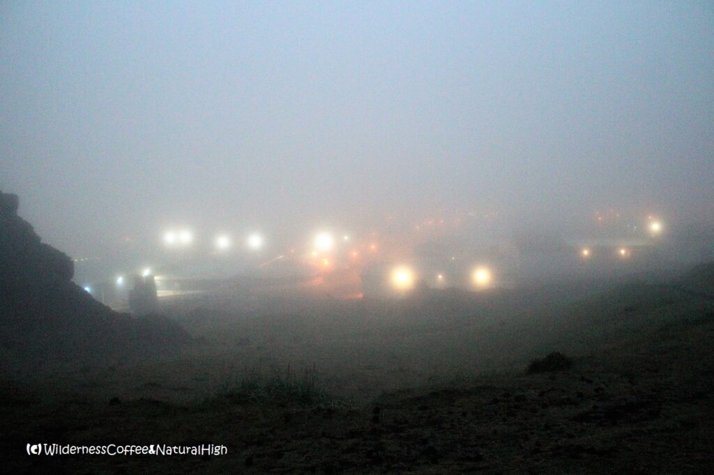 Heimaey harbour lights Heimaey harbour lights in the fog, Vestmannaeyjar, Iceland.