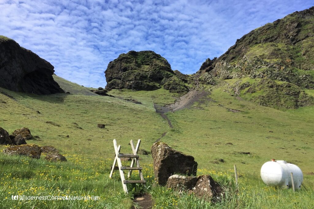 Wooden step and sheep fence Klif hike, Heimaey, Vestmannaeyjar, Iceland.