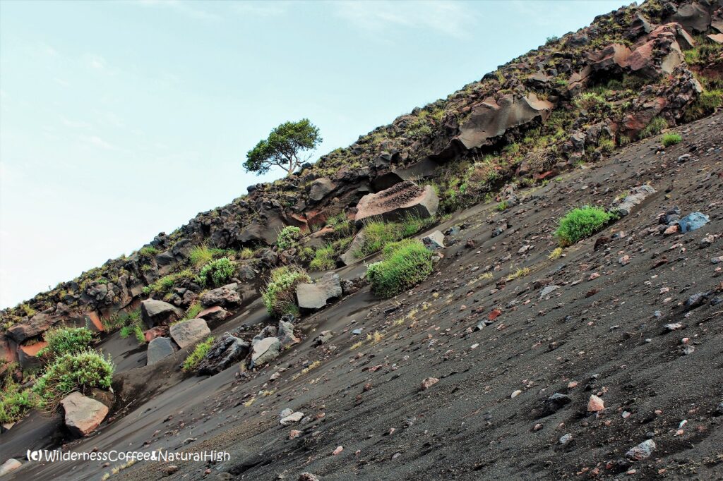 Steep slope on Stromboli Stromboli hike, steep slopes, Aeolian Islands, Italy,