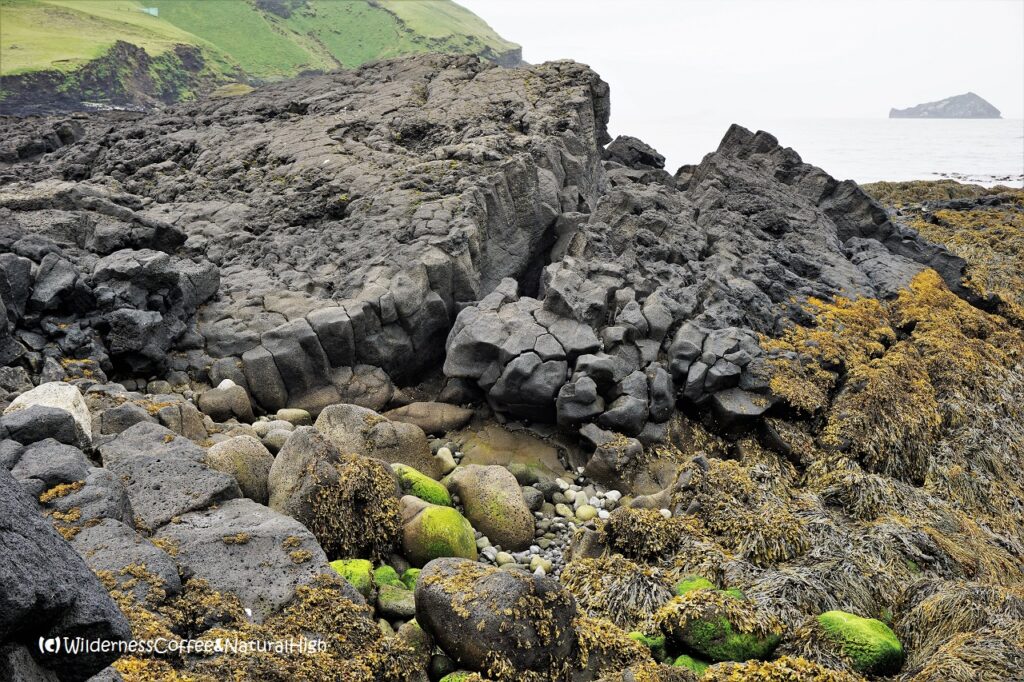 Stórhöfði lava flows Stórhöfði lava flows, Klauf beach, Heimaey, Vestmannaeyjar, Iceland.