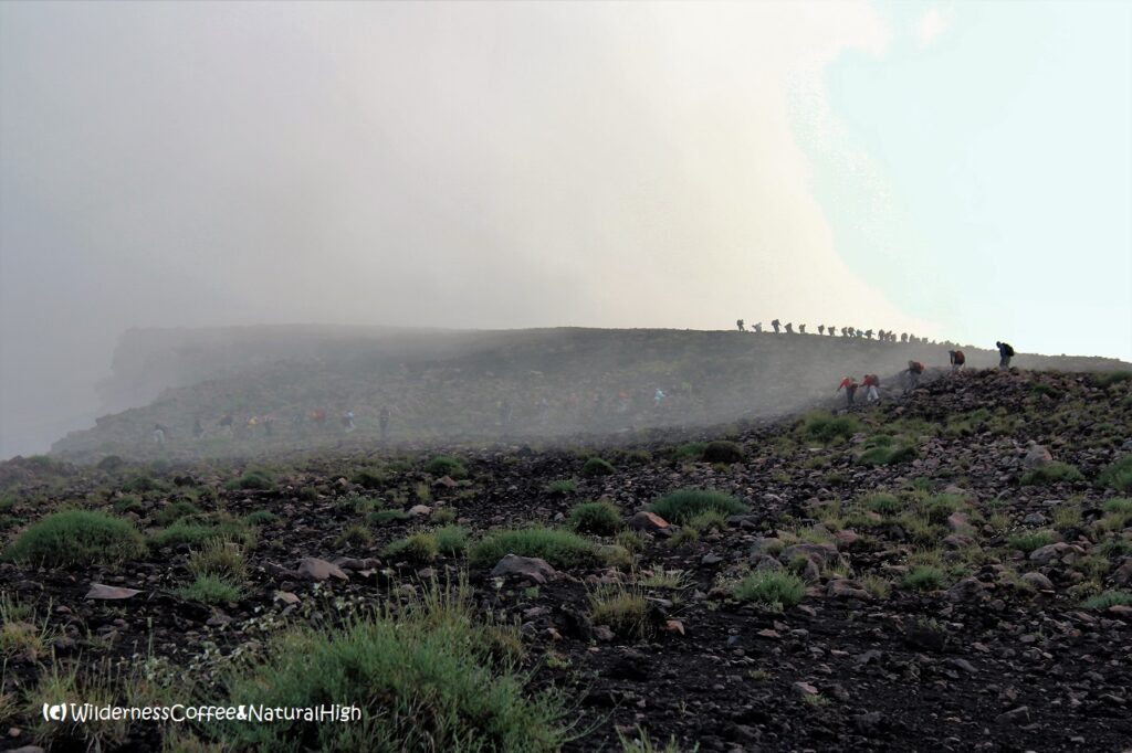 Misty upper path Stromboli hike, Aeolian Islands, Italy.