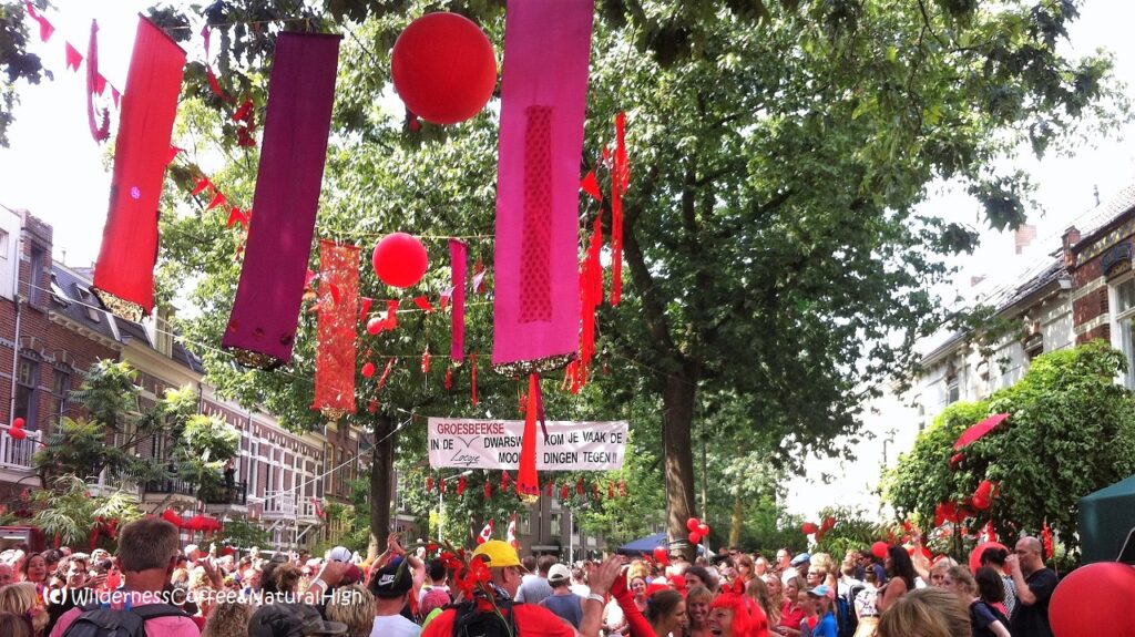 Vierdaagse Nijmegen, Walk of the World, The Netherlands.