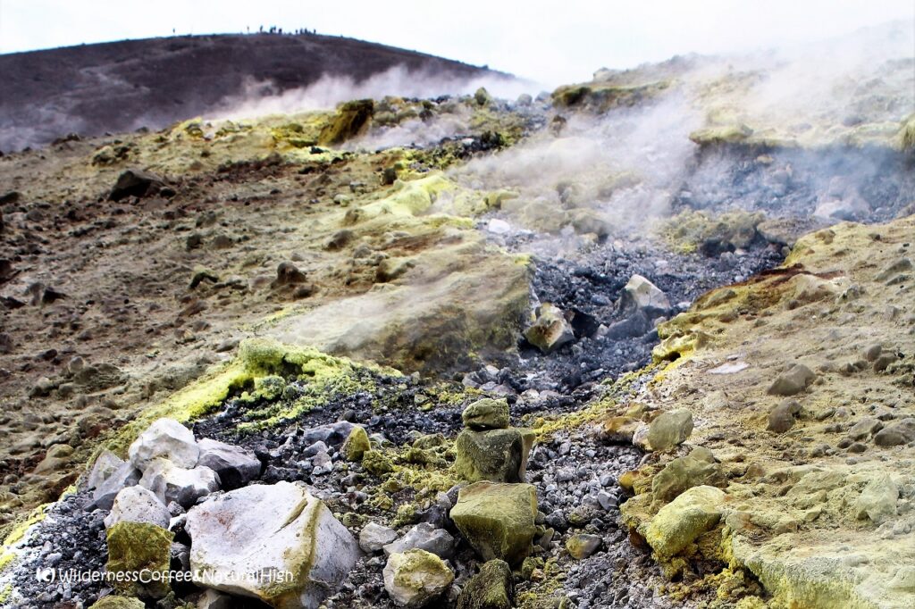 Steaming fumaroles Fumaroles, Vulcano crater, Italy.