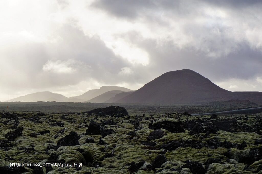 Reykjanes south coast Reykjanes south coast and lava fields, Iceland.