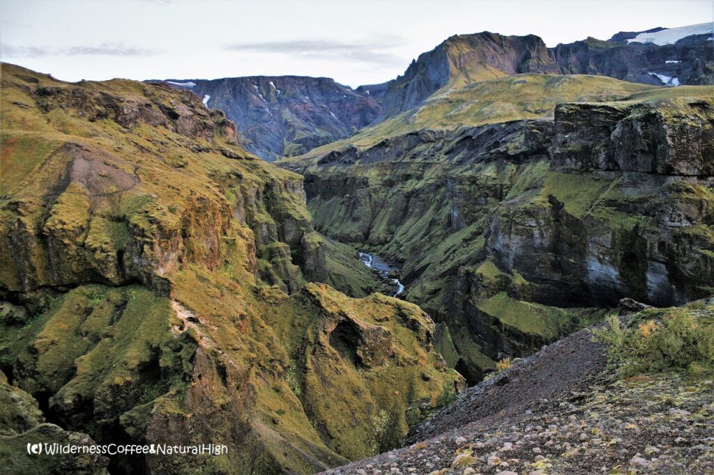 Hvannárgil canyon Hvannárgil canyon, Thórsmörk, Iceland.