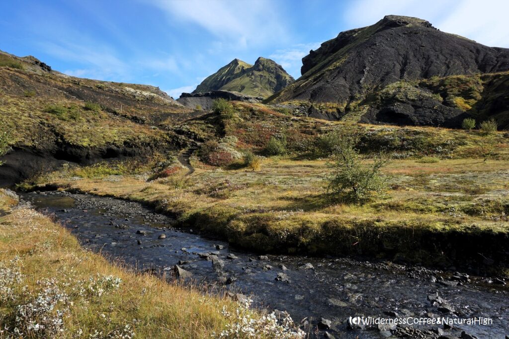Garden of Eden Little garden of Eden, Thórsmörk, Iceland.