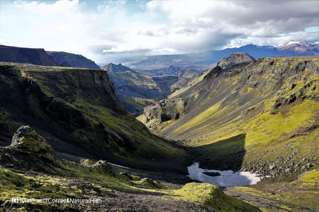 Track into Hvannárgil canyon Hvannárgil canyon hiking route, Thórsmörk, Iceland.