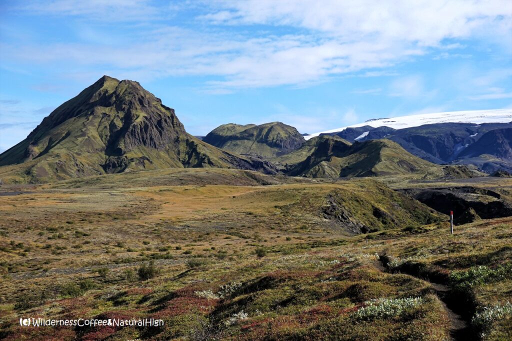 Path towards Rjúpnafel Path and rolling ridges, Rjúpnafel hiking track, Thórsmörk, Iceland.