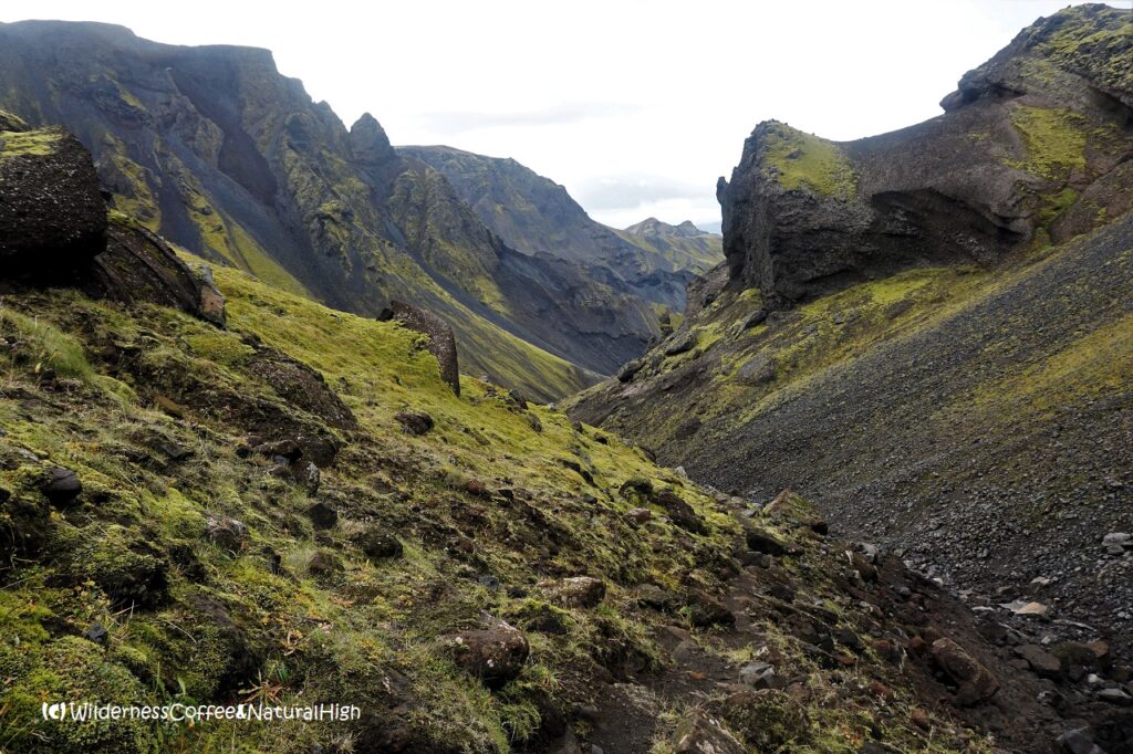 Troll face watching over the canyon Troll face in Hvannárgil canyon, Thórsmörk, Iceland.