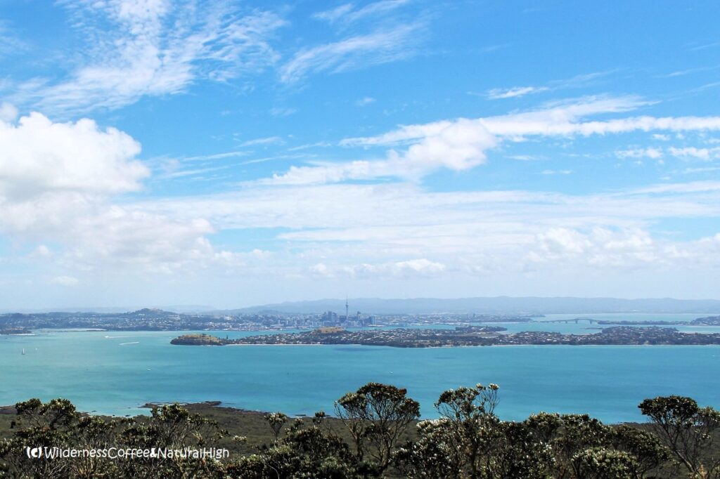 Auckland harbour Auckland harbour, New Zealand.