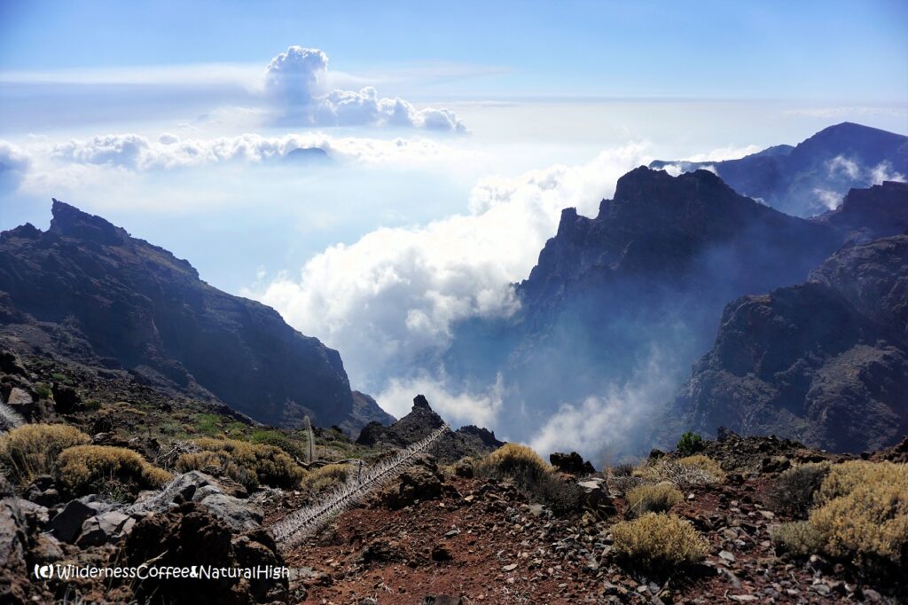 Cumbre Vieja eruption plume from Caldera de Taburiente, La Palma, Canary Islands.