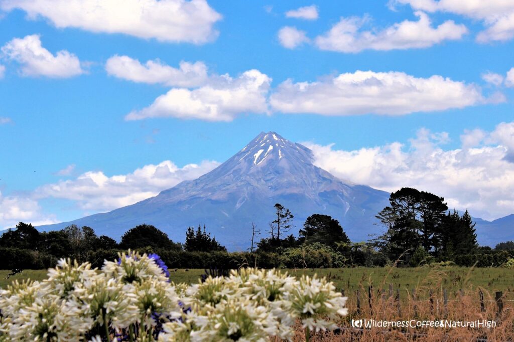 Distracting view of Mount Taranaki Mount Taranaki rising up in the distance, North Island, New Zealand.