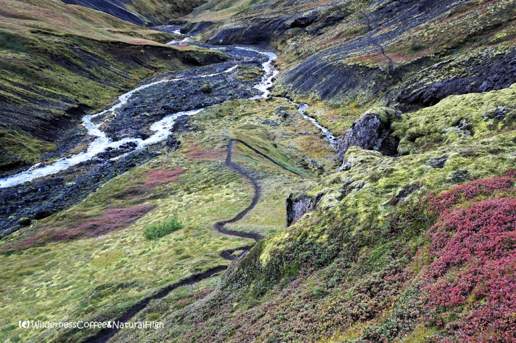 Hvannárgil canyon path Bottom of Hvannárgil canyon, hiking route, Thórsmörk, Iceland.