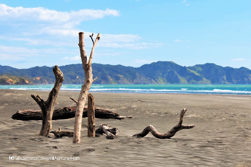 Kawhia beach Kawhia beach, North Island, New Zealand.