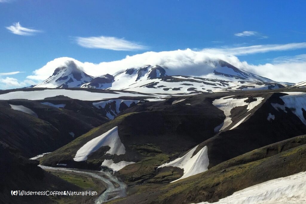 Fjallalæða on Mount Loðmundur and Snækollur, Kerlingarfjöll, Iceland.