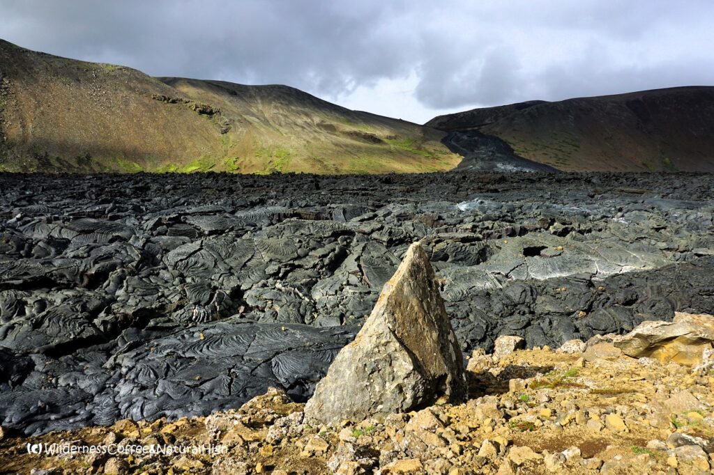 Nátthagi lava flow, Reykjanes, Iceland.