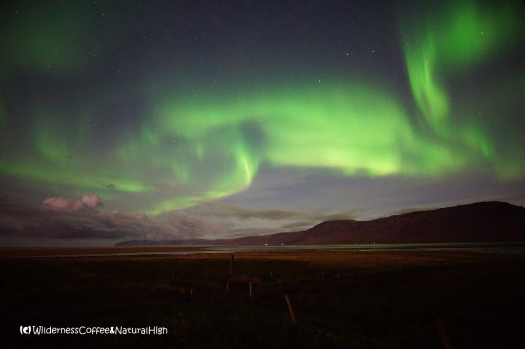 Aurora Borealis on Rauðisandur beach Aurora Borealis on Rauðisandur beach in the Westfjords, Iceland.