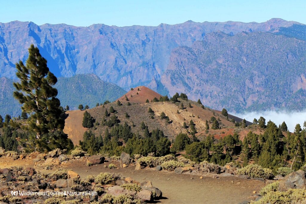 Pico Birigoyo, Cumbre Vieja volcano route, La Palma, Canary Islands.