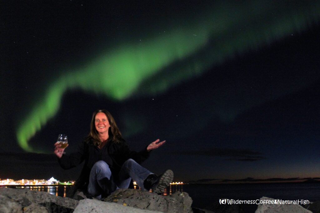Skál to the northern lights! Skál to the northern lights, Reykjavík, Iceland.
