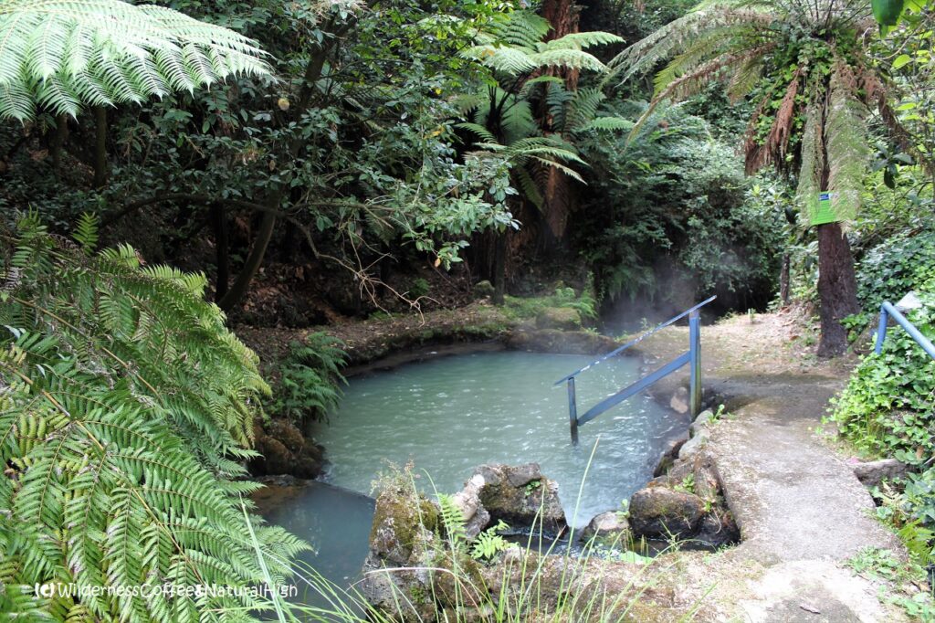 Geothermal river in Taupo volcanic field Geothermal river, Taupo volcanic field, North Island, New Zealand.