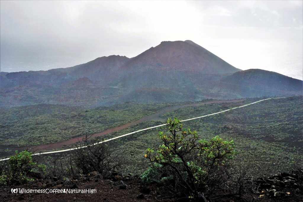 Teneguía volcano, La Palma, Canary Islands.