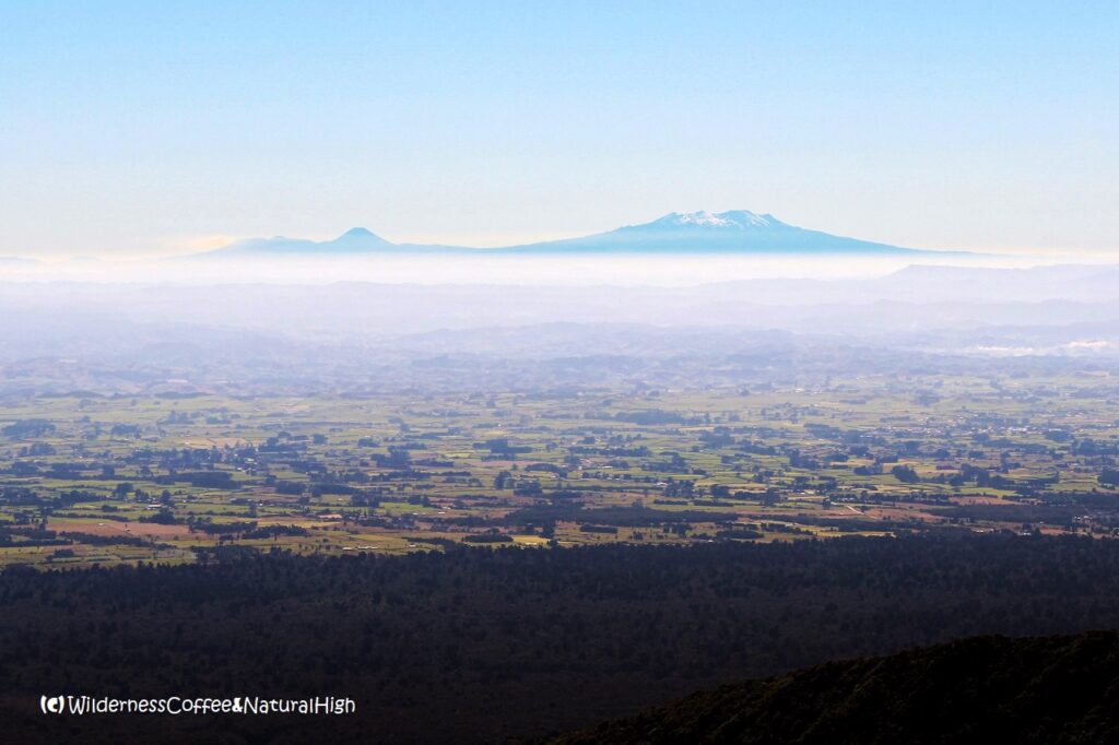 Tongariro and Ruapehu shimmering in the distance Tongariro and Ruapehu shimmering in the distance, New Zealand.